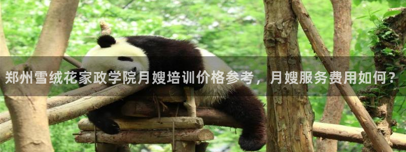 杏悦官方平台官网入口
