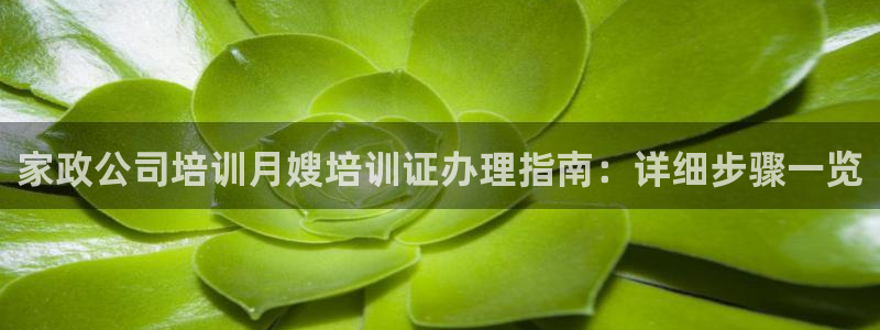 杏悦官网