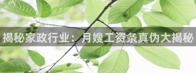 杏悦主管