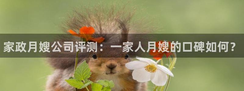 杏悦平台可靠吗可信吗安全吗
