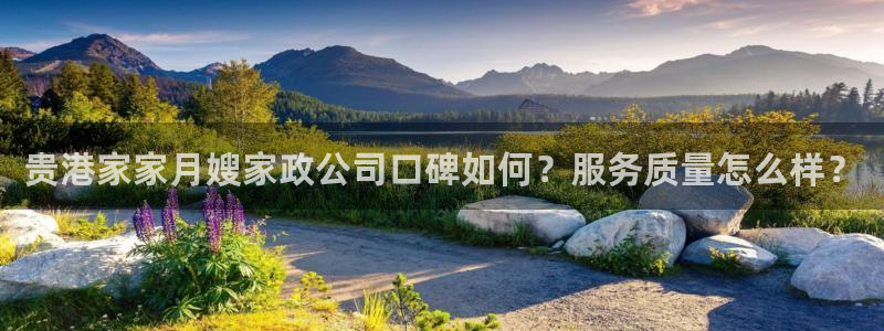 杏悦1招商地址