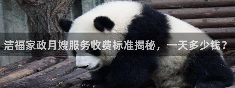 杏悦娱乐平台靠谱吗