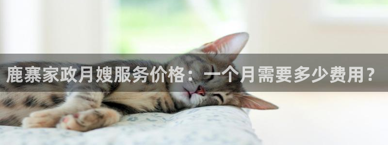 杏悦平台代理怎么样啊