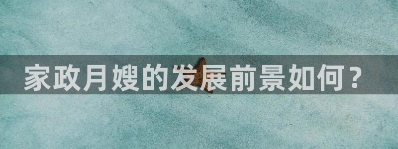 杏悦招商地址