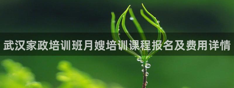 杏悦平台招商