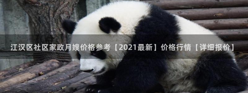 杏悦平台代理