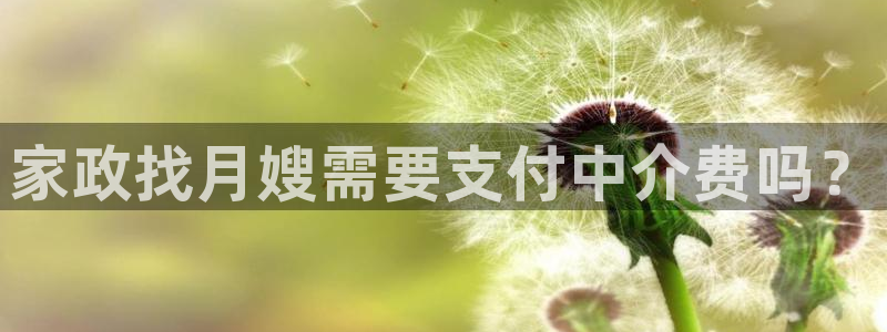 杏悦平台线路测速