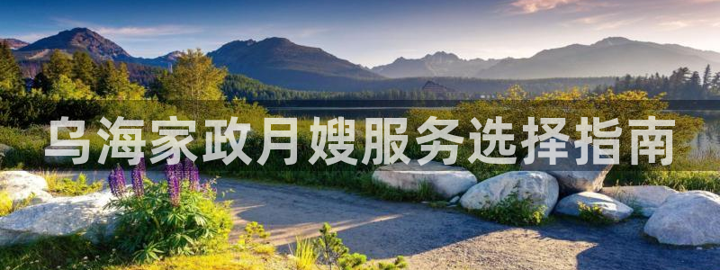 杏悦官网