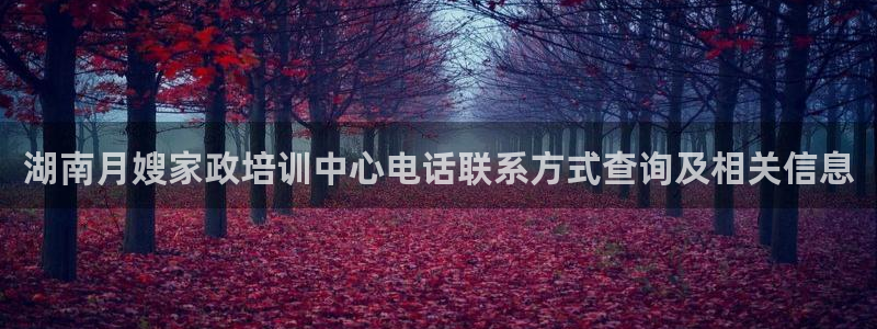 杏悦平台主管