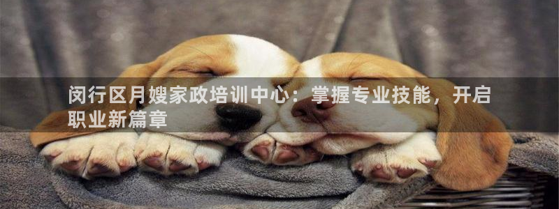 杏悦平台代理怎么样可靠吗