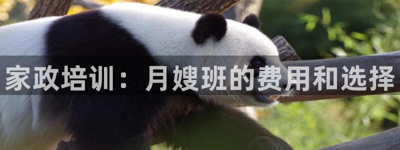 杏悦地址