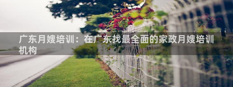 杏悦平台代理怎么赚钱
