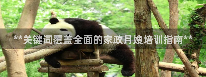 杏悦平台招商怎么样