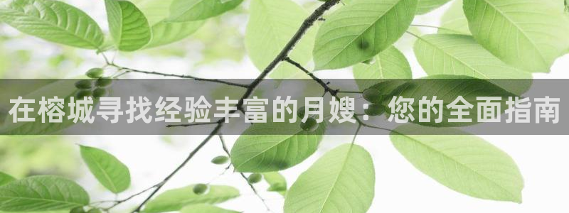 杏悦招商地址