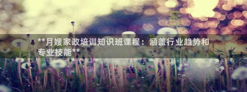 杏悦是什么平台