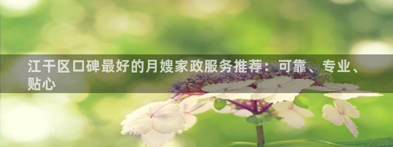 杏悦总代理