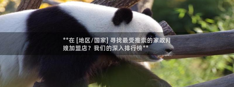 杏悦平台代理怎么样啊