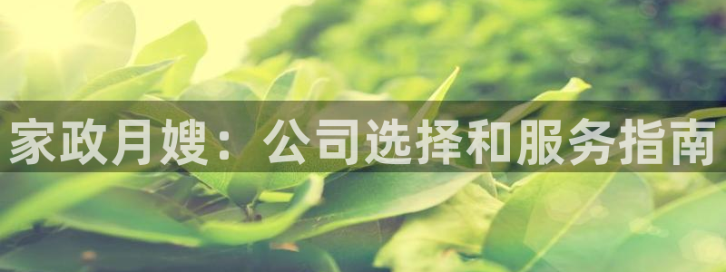 杏悦1招商地址