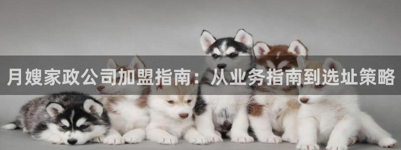 杏悦平台地址