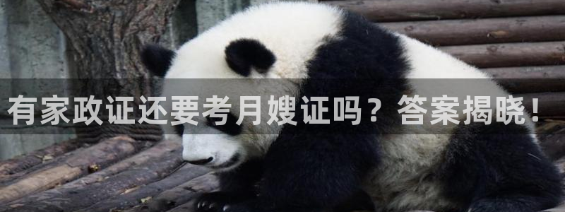 杏悦平台开户地址怎么改