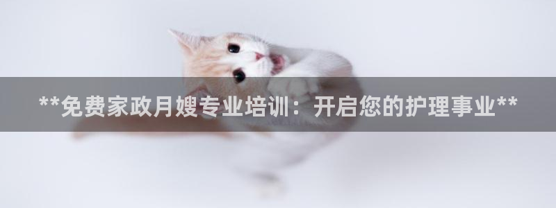 杏悦平台线路测速