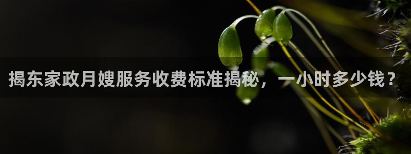 杏悦是什么