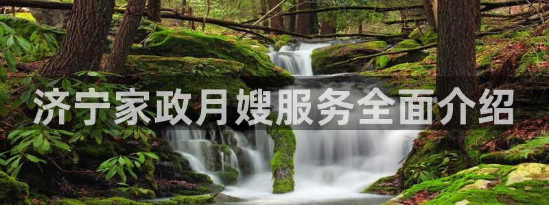 杏悦平台主管