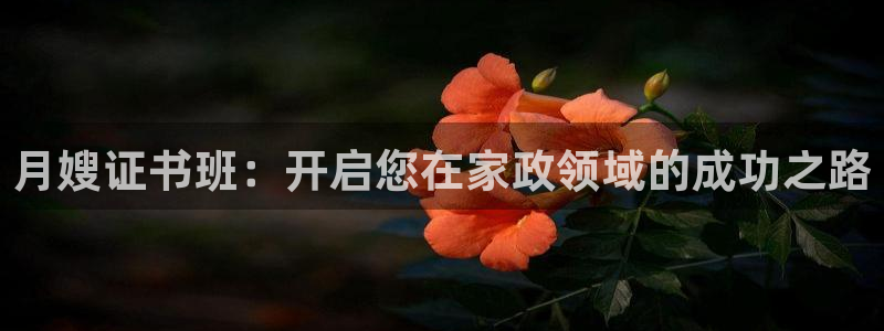 杏悦平台开户地址怎么改