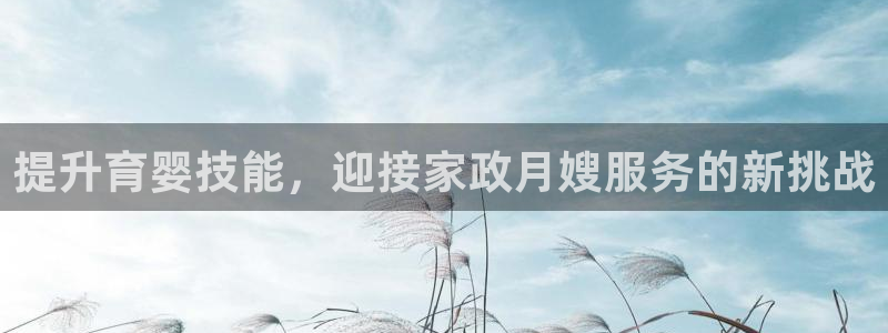 杏悦平台代理怎么样赚钱
