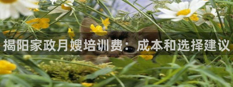 杏悦平台招商电话号码