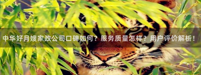 杏悦平台可靠吗可信吗