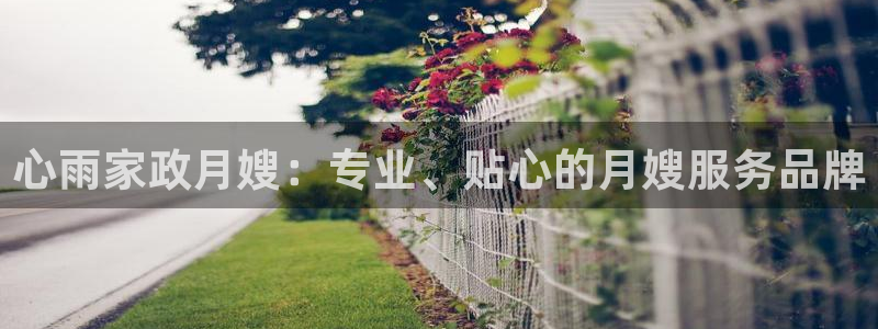 杏悦平台代理怎么赚钱的