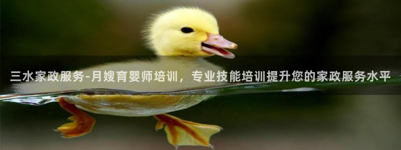 杏悦1招商地址